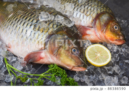 Carp fish, Fresh raw fish on ice for cooked food with parsley lemon and dark background, common carp freshwater fish market 86386590