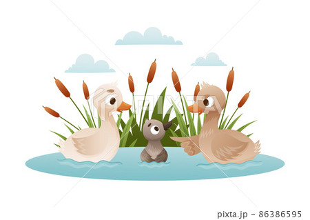 Geese swim in pond. Ugly duckling fairy tale cartoon vector illustration 86386595