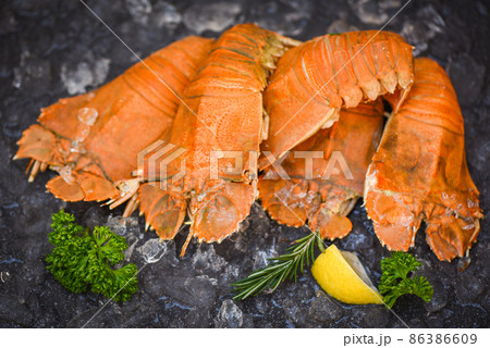 Flathead lobster shrimps on ice, fresh slipper lobster flathead boiled for cooking with lemon parsley rosemary in the seafood restaurant kitchen or seafood market, Rock Lobster Moreton Bay Bug 86386609