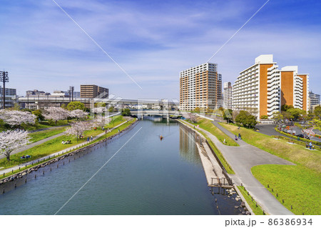 桜咲く大島小松川公園・もみじ大橋から旧中川の眺望(2021年3月) 桜咲く大島小松川公園・もみじ大橋から旧中川の眺望(2021年3月) 86386934