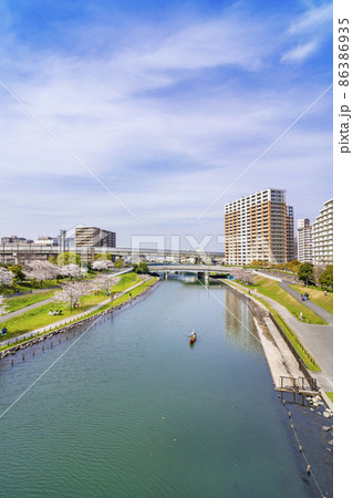 桜咲く大島小松川公園・もみじ大橋から旧中川の眺望(2021年3月) 桜咲く大島小松川公園・もみじ大橋から旧中川の眺望(2021年3月) 86386935