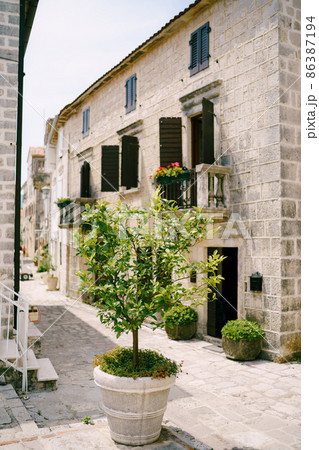 Cozy old stone house with shutters, small balconies, trees in pots Cozy old stone house with shutters, small balconies, trees in pots 86387194