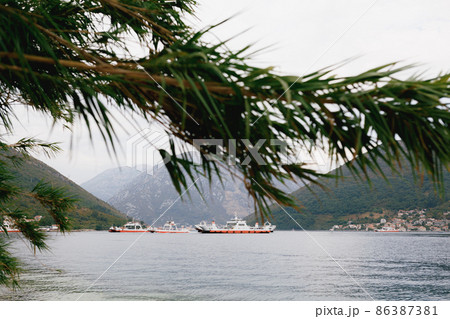 View through green branches on ships sailing on the sea against the background of mountains 86387381