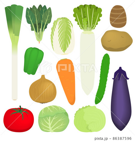 指定野菜のイラスト 指定野菜のイラスト 86387596
