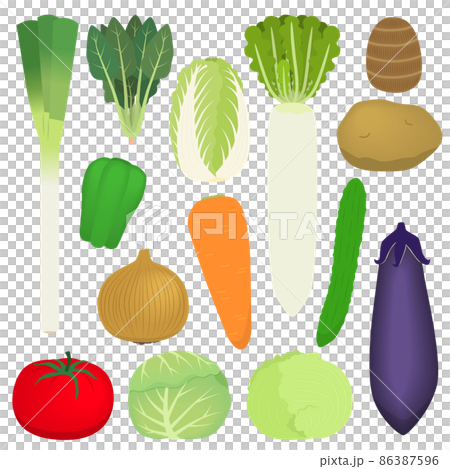 指定野菜のイラスト 指定野菜のイラスト 86387596