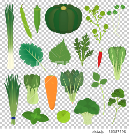 Illustration of green and yellow vegetables Illustration of green and yellow vegetables 86387598