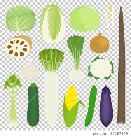 淡色野菜のイラストのイラスト素材