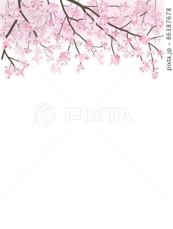 桜の背景　春 86387678
