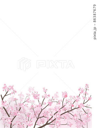 桜の背景　春 86387679