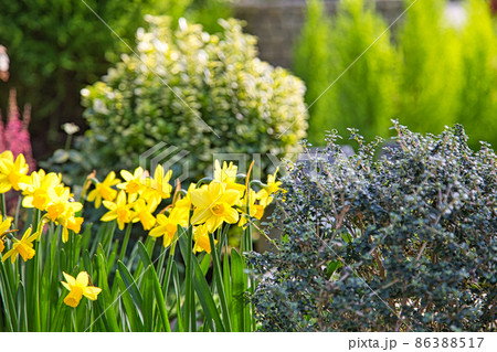 福井県総合グリーンセンター 86388517