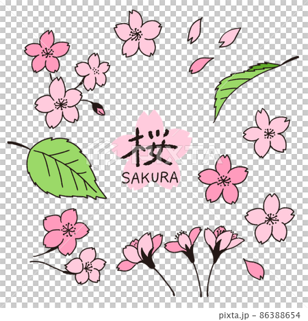 一套手繪的櫻花花瓣和葉子線條藝術插圖 86388654