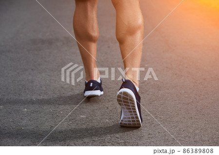 Run in the forest 86389808