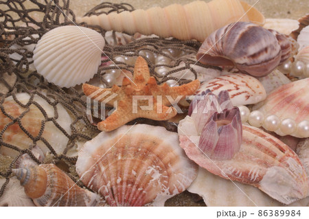 Sea Shells on Sand With Fishing Net, Shallow DOF Sea Shells on Sand With Fishing Net, Shallow DOF 86389984