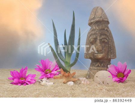 Aloe Plant and Statue on Sand and Blue Sky Background Aloe Plant and Statue on Sand and Blue Sky Background 86392449