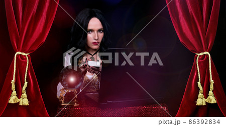 Psychic Tarot Card Reader on Laptop Computer With Crystal Ball 86392834