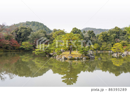 晩秋の金閣寺 葦原島(アシハラジマ) 晩秋の金閣寺 葦原島(アシハラジマ) 86393289