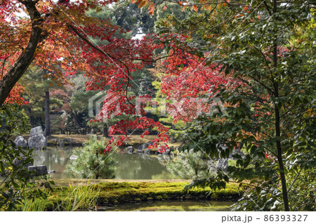 晩秋の鹿苑寺(金閣寺)境内の紅葉 晩秋の鹿苑寺(金閣寺)境内の紅葉 86393327
