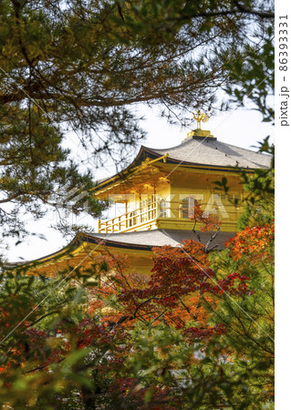 晩秋の鹿苑寺 舎利殿 金閣 晩秋の鹿苑寺 舎利殿 金閣 86393331