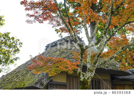 晩秋の鹿苑寺(金閣寺)夕佳亭の紅葉 晩秋の鹿苑寺(金閣寺)夕佳亭の紅葉 86393368