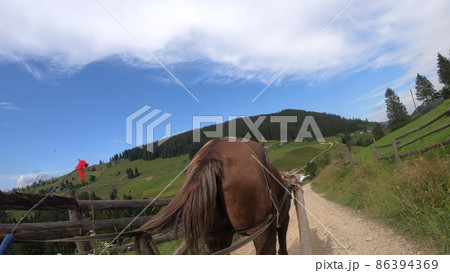 Horse pulls a chaise on a dirt path on a sunny day 86394369
