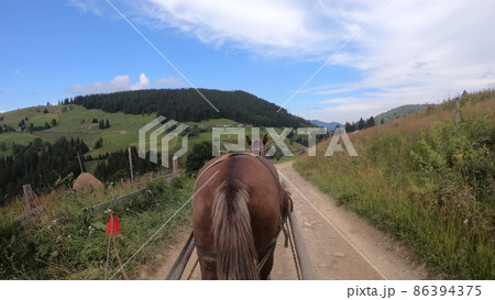 Horse pulls a chaise on a dirt path on a sunny day 86394375