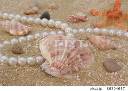 Sea Shells on Sand With Fishing Net, Shallow DOF Sea Shells on Sand With Fishing Net, Shallow DOF 86394637