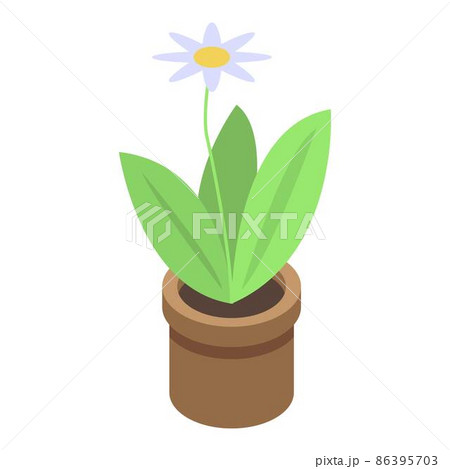 Home flower pot icon, isometric style Home flower pot icon, isometric style 86395703