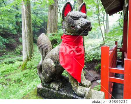 滝尾稲荷神社の狐 86396232