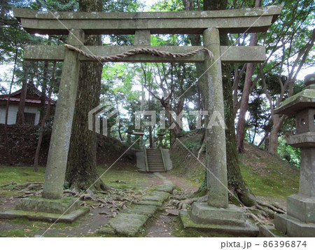 熊野神社の鳥居【韮山城跡】/静岡県伊豆の国市 熊野神社の鳥居【韮山城跡】/静岡県伊豆の国市 86396874
