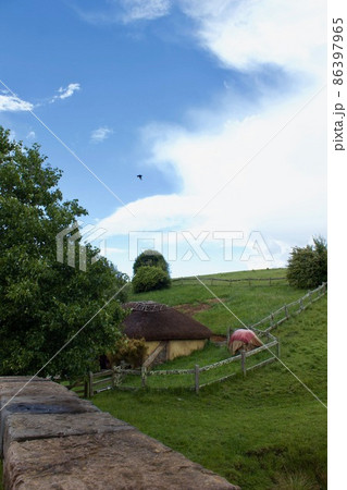 ホビトン　ムービー　セット　ツアーズ　ニュージーランド  Hobbiton New Zealand  86397965