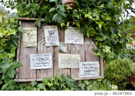 ホビトン ムービー セット ツアーズ ニュージーランド Hobbiton New Zealand ホビトン ムービー セット ツアーズ ニュージーランド Hobbiton New Zealand 86397969