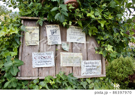 ホビトン　ムービー　セット　ツアーズ　ニュージーランド  Hobbiton New Zealand  86397970