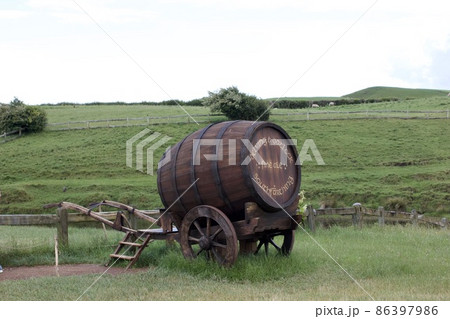 ホビトン　ムービー　セット　ツアーズ　ニュージーランド  Hobbiton New Zealand  86397986