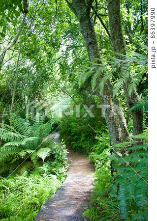 ホビトン ムービー セット ツアーズ ニュージーランド Hobbiton New Zealand ホビトン ムービー セット ツアーズ ニュージーランド Hobbiton New Zealand 86397990