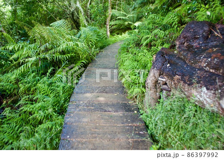 ホビトン　ムービー　セット　ツアーズ　ニュージーランド  Hobbiton New Zealand  86397992