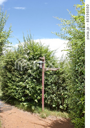 Hobbiton New Zealand Matamata  ホビトン ムービー　セット　ツアーズ 86398080