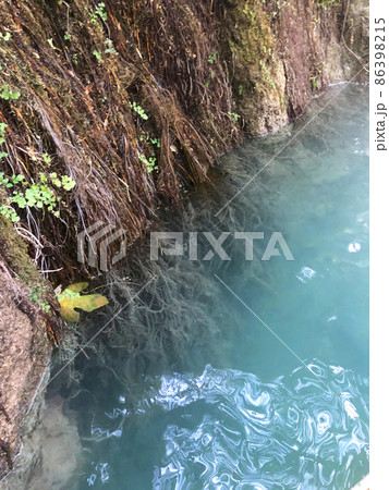 Canyon Goynuk Turkey Water Plant 86398215