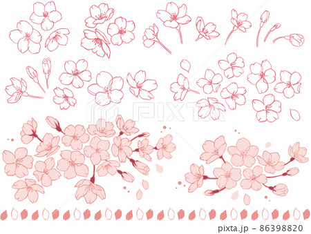 桜の素材 ベクターデータ 桜の素材 ベクターデータ 86398820