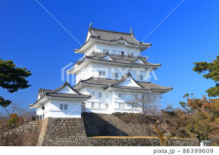 【神奈川県】快晴下の小田原城天守閣 86399609
