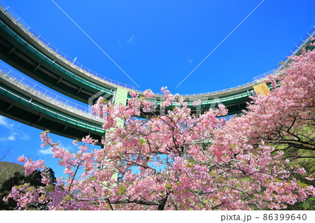 【静岡県】河津七滝ループ橋と満開の河津桜 【静岡県】河津七滝ループ橋と満開の河津桜 86399640