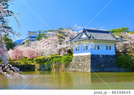 【神奈川県】満開桜の小田原城と隅櫓 【神奈川県】満開桜の小田原城と隅櫓 86399649