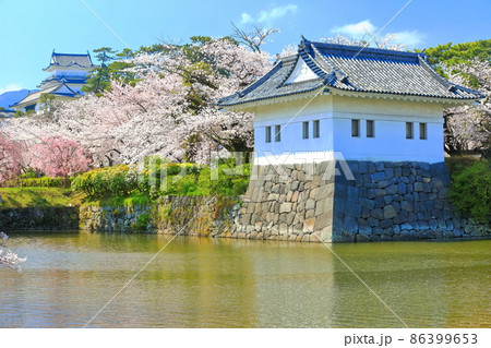 【神奈川県】満開桜の小田原城と隅櫓 86399653
