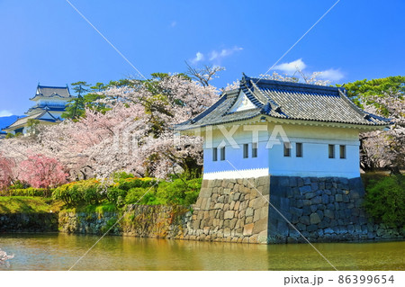 【神奈川県】満開桜の小田原城と隅櫓 【神奈川県】満開桜の小田原城と隅櫓 86399654