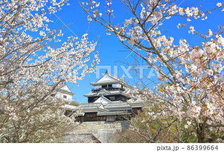 【愛媛県】桜が満開の松山城天守閣 86399664