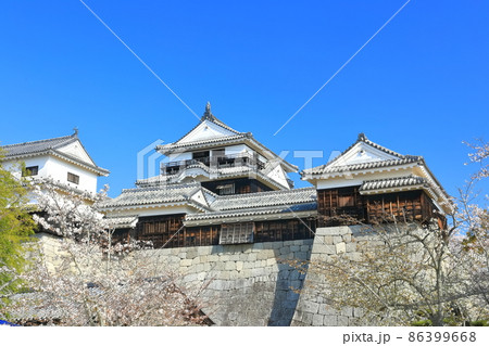 【愛媛県】桜が満開の松山城天守閣 86399668