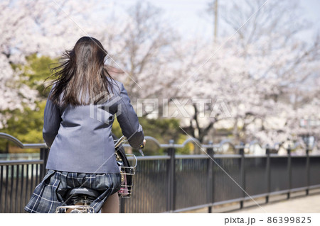 桜咲く通学路を自転車通学する女子高生 86399825