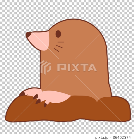 穴から覗く横向きのモグラ 86402574