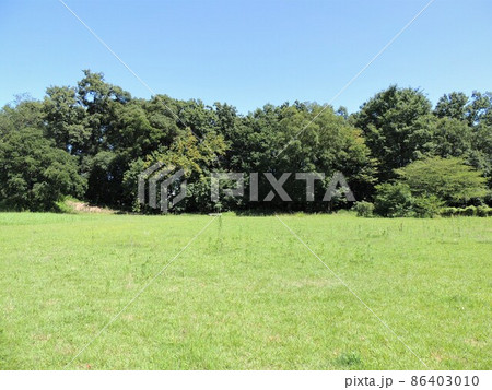 菅谷館跡 二ノ郭 菅谷館跡 二ノ郭 86403010