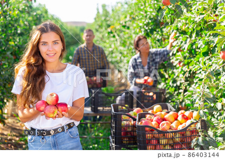Woman with apples and workers 86403144
