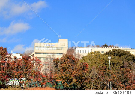 大阪青山大学 86403483